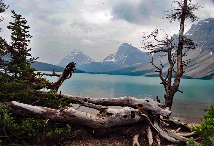 lake
